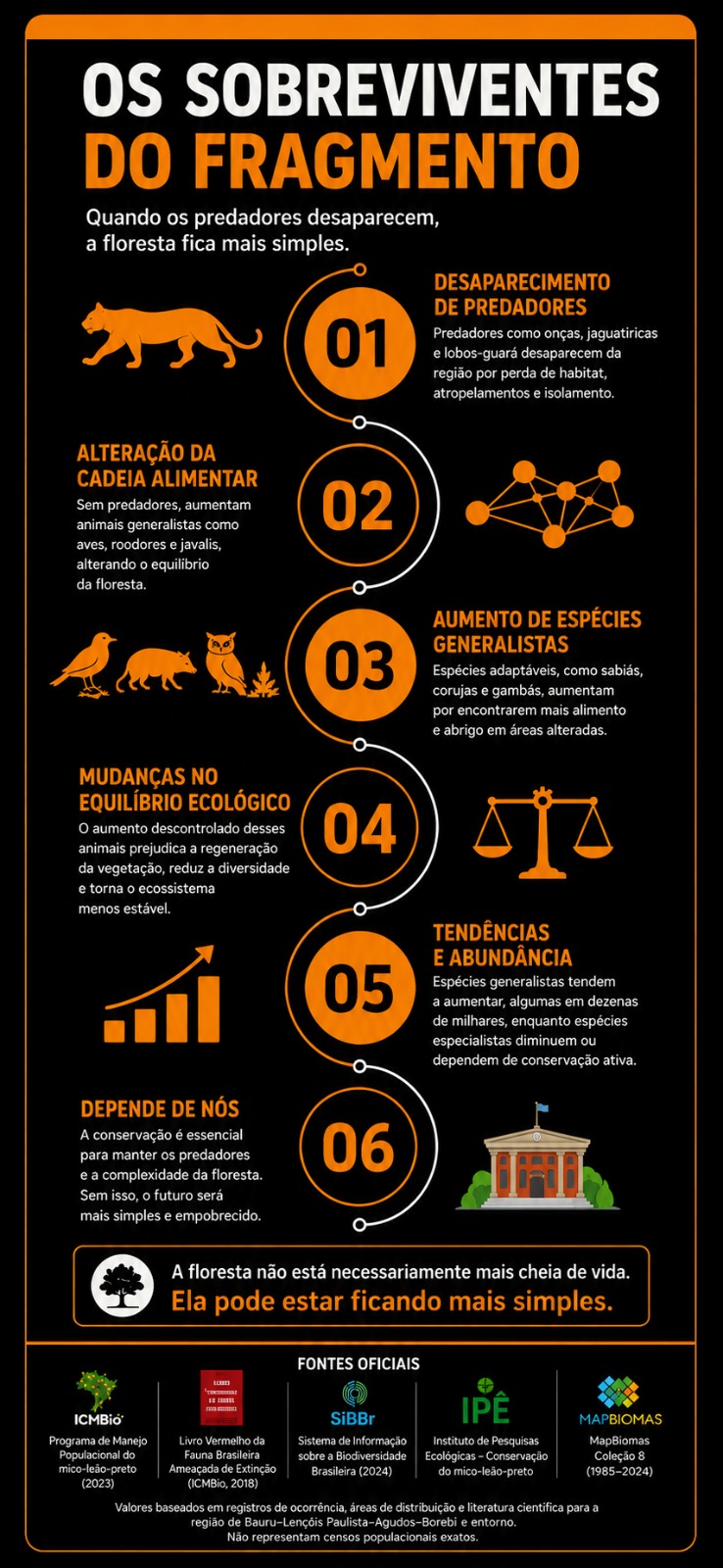 Infográfico: os sobreviventes do fragmento — quando os predadores desaparecem, a floresta fica mais simples