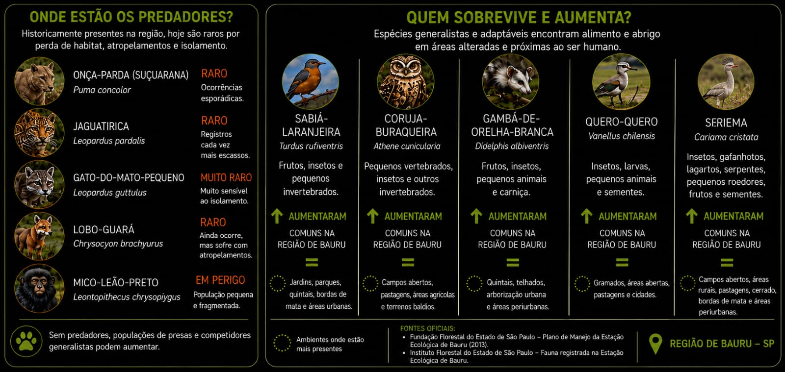 Infográfico: onde estão os predadores e quem sobrevive e aumenta na região de Bauru