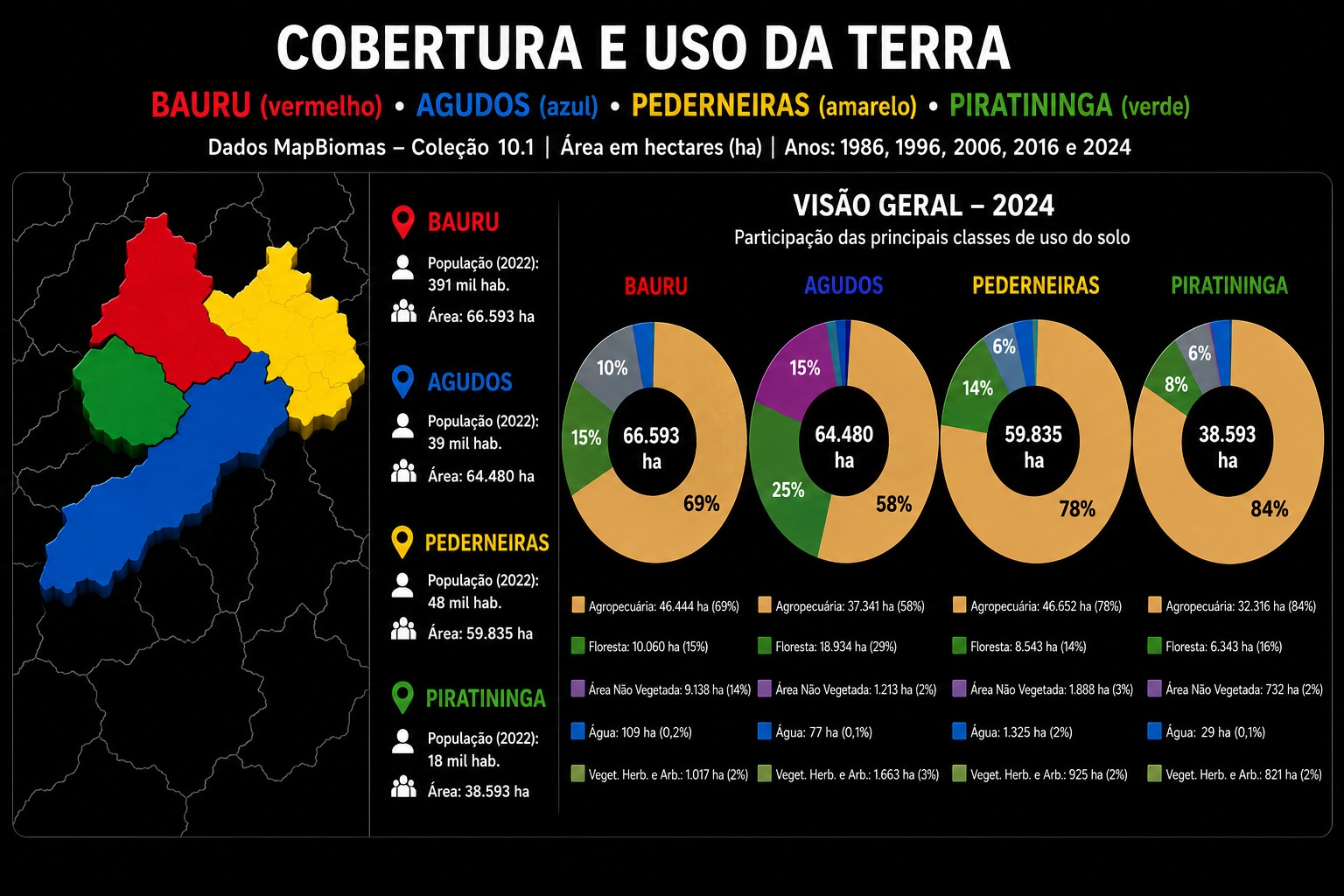 Cobertura e uso da terra nos quatro municípios em 2024